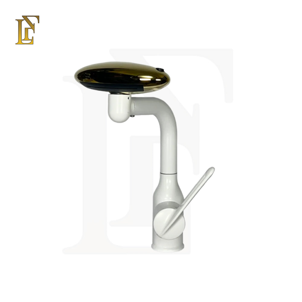360° Swivel Waterfall Kitchen & Bathroom Mixer | 4 Water Modes | SUS-304