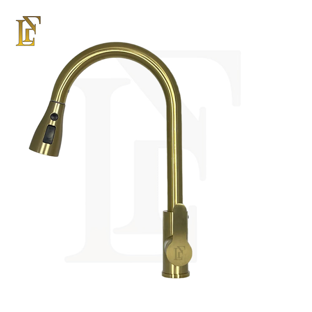 Pull-Out Kitchen Mixer Faucet | SUS 304 | 360° Swivel - Dual Spray